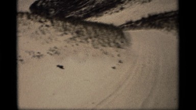 1969: the person go trip in desert area and to search many useful things
