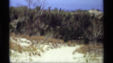 1969: riding in vehicle towards in the desert towards a woodsy area HOLLAND