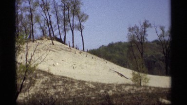 1969: a beautiful forest view in a holiday HOLLAND MICHIGAN