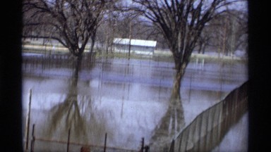 1969: some trees and a houseboat located at the water that looks like river