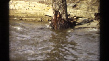 1969: unsanitary water flows in a river where there are leafless trees
