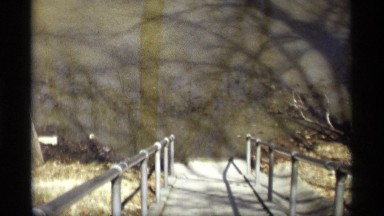 1969: a bridge that located alone in a forest and some trees