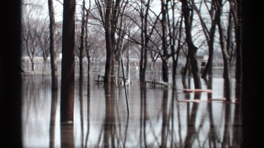 1969: Barren Trees Reflected in Shallow Water on a Gray, Cloudy Day in Savage