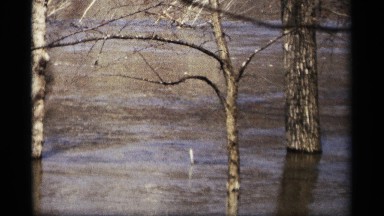 1969: flooded river flows past tree trunks. SAVAGE MINNESOTA