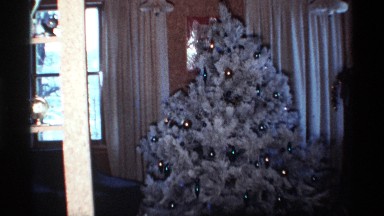 1968: the house very grand celebrate for the christmas so christmas trees
