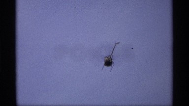 1969: helicopter fly in the sky low angle view in the morning time