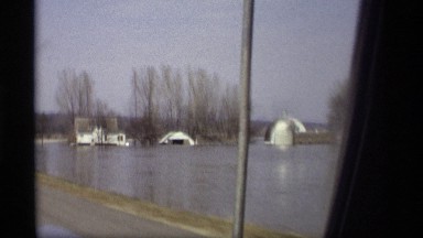 1969: beautiful forest around the middle of river in home SAVAGE MINNESOTA