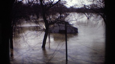 1969: a lake some trees are inside the lake and the nature looks beautiful