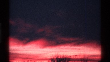 1968: sunset through the trees CHICAGO ILLINOIS
