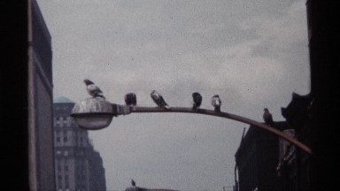 1968: more birds are at the top of the lamp stick corner and it located at the