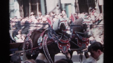 1968: draft horses pull a parade float for the council of irish art CHICAGO