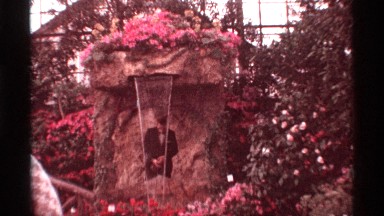 1968: Man Wearing Black Suit Standing Under Flower Waterfall in Chicago