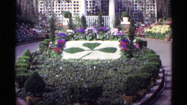 1968: beautiful flowers garden surrounded by tall buildings. CHICAGO ILLINOIS