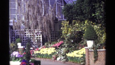 1968: Unique Floral Outdoor Garden and Landscape in Chicago, Illinois