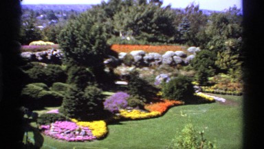 1974: A Very Big Flower Garden with Variation of Flowers in Different Colours