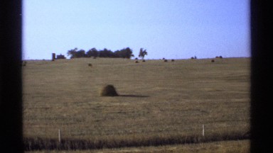 1974: Scenic View of Freshly Cut Wheat Field Minnesota