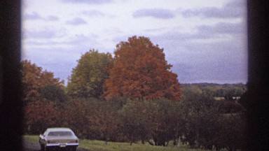 1974: A Car Slowly Moving Through a Flower-Filled Garden at Morning