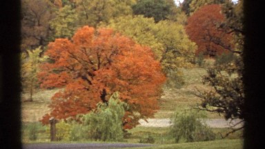 1974: autumn view of trees and hillside create a tapestry of colors MINNESOTA