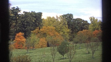 1974: several trees lining the edge of a tree-spotted plain. MINNESOTA