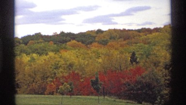 1974: colorful garden with flowers MINNESOTA