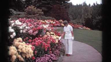 1974: a woman wearing white dress watching the rich and vivid flowers in the