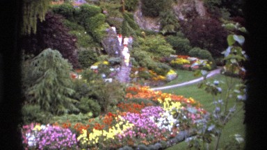 1974: people wearing all white walking through a beautiful flowers garden.