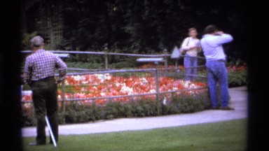 1974: a group of tourists taking pictures and viewing displays of flower