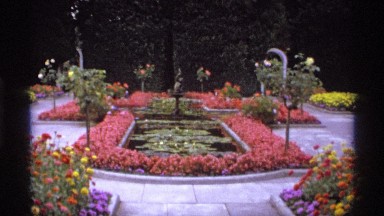 1974: red and yellow flower garden, day time in a recreational park or a garden