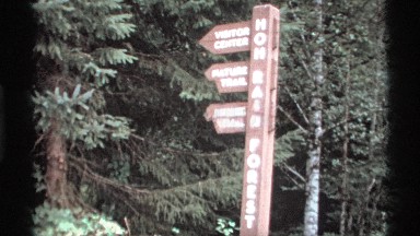 1974: hoh rain forest olympic national park washington state,usa VANCOUVER