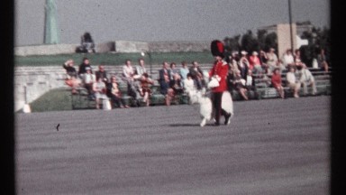 1967: a man wearing red color dress walking with a sheep at the road more men