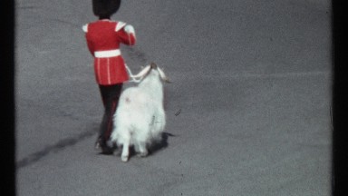 1967: white goat and royal guard lead field commander and marching band OTTAWA