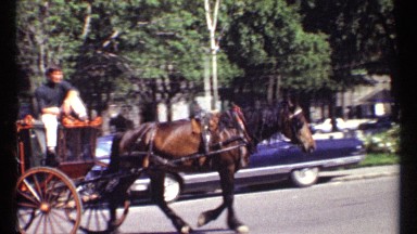 1967: riding of a horse-cart on a street OTTAWA CANADA