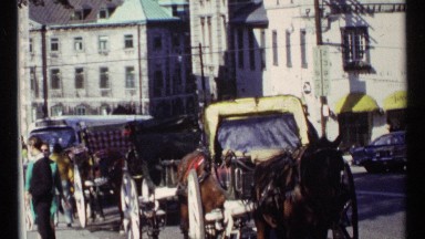 1967: horse and carriages wait at curb by traffic and pedestrians in city OTTAWA