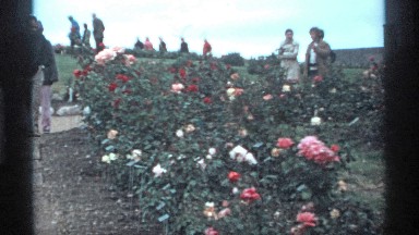 1974: people enjoying a beautiful day with flowers MINNESOTA
