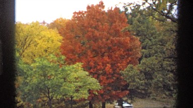 1974: man exiting white car in fall. MINNESOTA