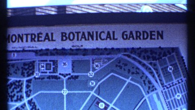 1967: outdoors with beautiful plants in view. MONTREAL CANADA