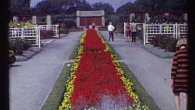 1967: a cute garden with lovable colorful flowers and a small fountain also