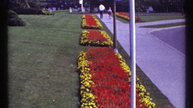 1967: different colors of flowers are at the garden it was located at a road