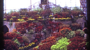 1967: colorful orange/red/yellow/green plants over train tunnel inside MONTREAL