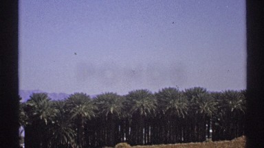 1972: a view of a sky with vegetation and people standing around ARIZONA