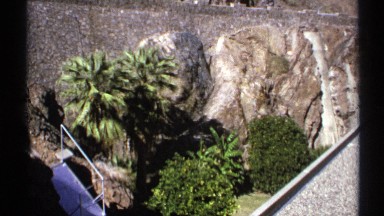 1972: two to three plants are at the rocks and little water also there at the
