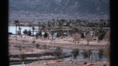 1972: a forest with good trees and plants and also mountain water all the
