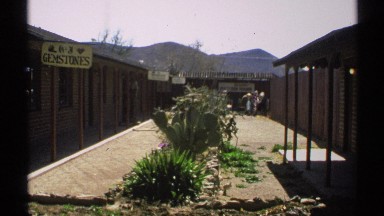 1972: A Lovely Cactus Patch Out in Front of a Desert Gemstone Vendor's Shop.