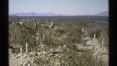 1972: two men in a vast area with small bushes sparsely distributed ARIZONA