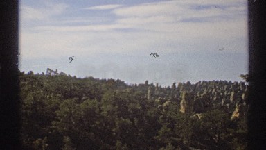1972: Treetops of Green Forest Form Textured Mat Under Blue Sky and Clouds