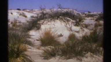1972: the view of a widespread desert covered with grasslands. NEW MEXICO