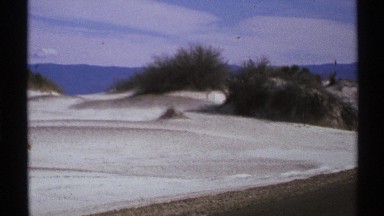 1972: bushy plants grow around large rocks on ground covered with snow NEW