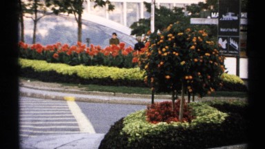 1971: Flowers in the Middle of a Roundabout on a Sunny Day in New York