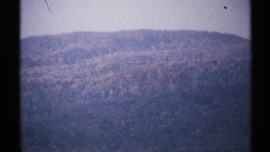 1971: Aerial View of Forest Preserve in New York
