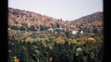 1971: a cute garden and full of flowers and it looks like beautiful and mountain